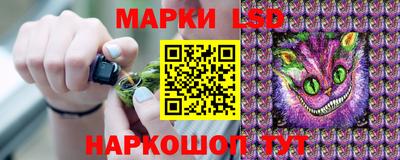 стаф Берёзовский