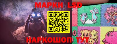 стаф Берёзовский