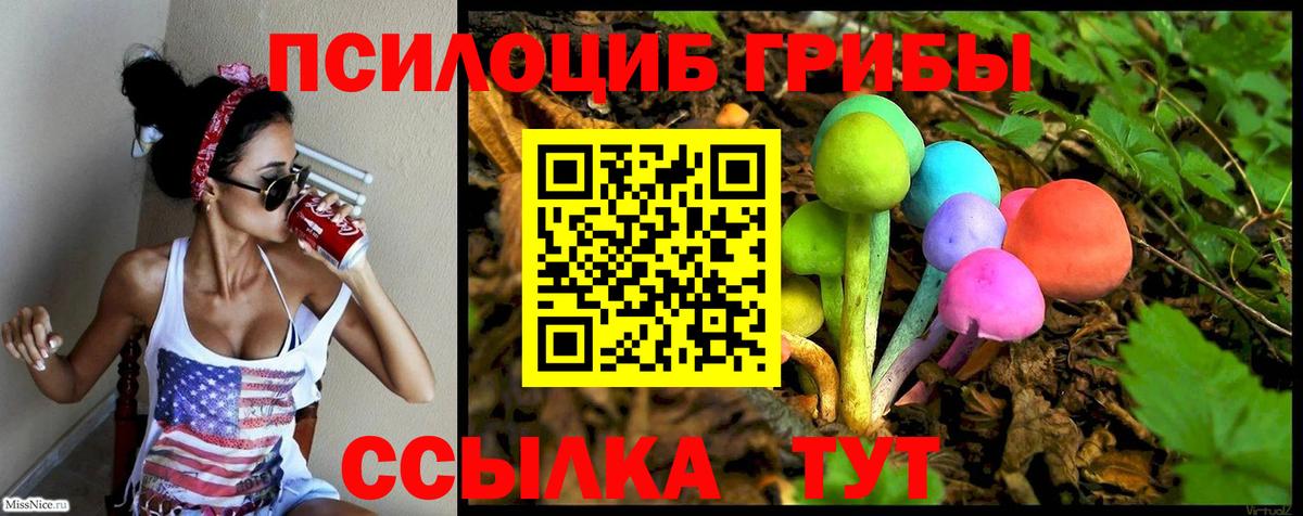 Псилоцибиновые грибы прущие грибы  Вход с VPN  Когалым  Псилоцибиновые грибы Psilocybine cubensis 
